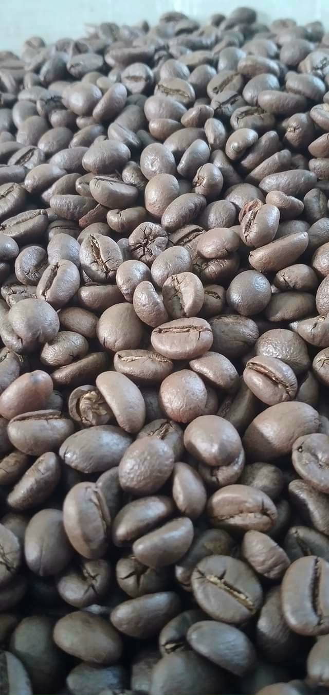 Robusta Natural S16